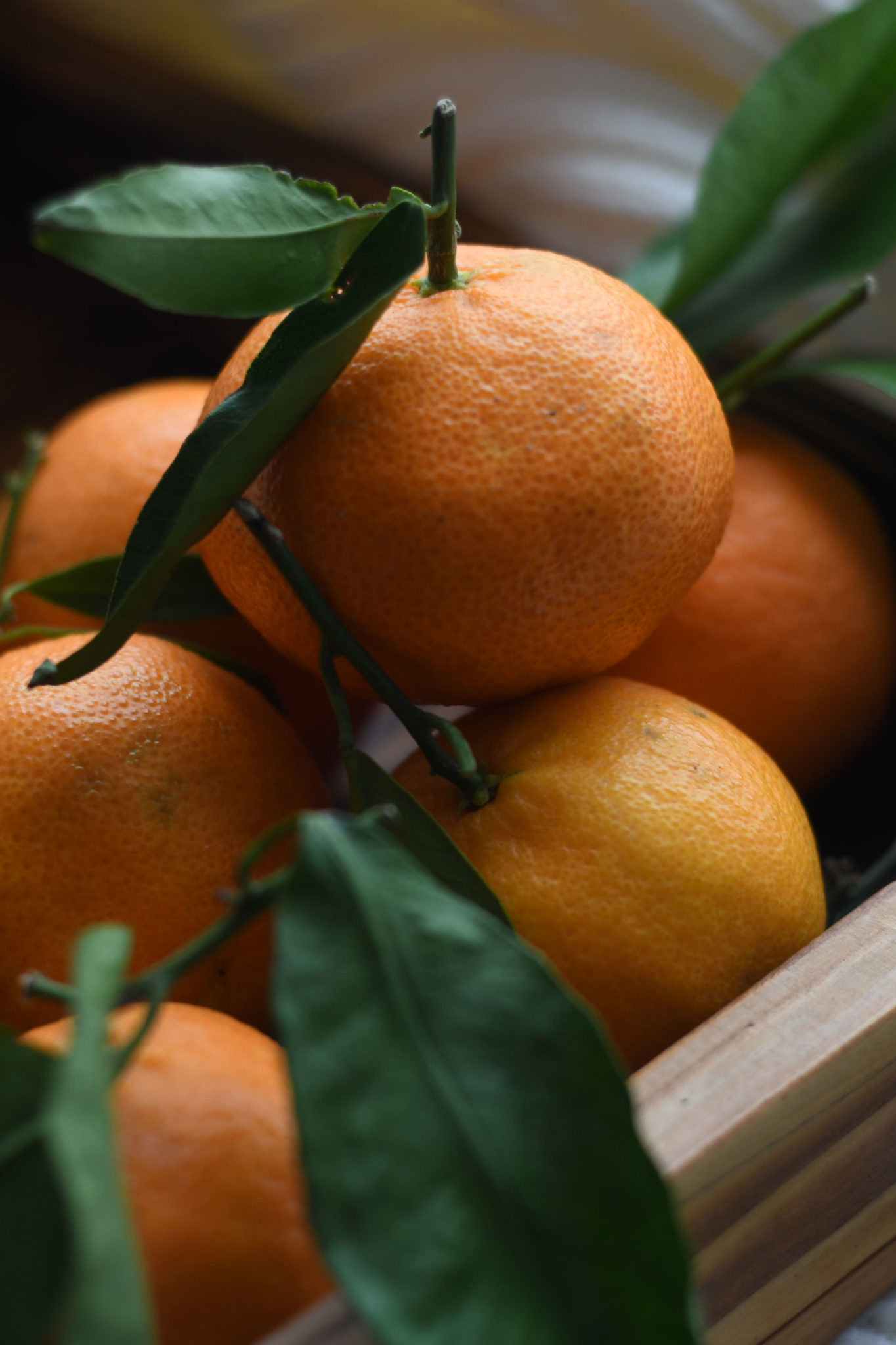 mandarinas en trasición ecológicas naturales