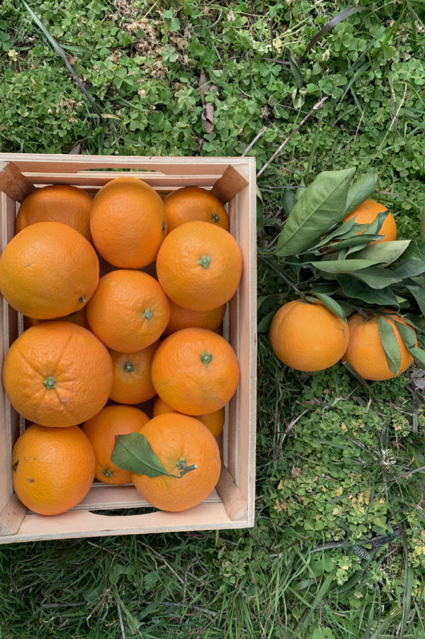 caja naranjas 100% naturales y sin pesticidas